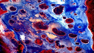 Astronauto Scotto Kelly darytos nuotraukos i&scaron; TKS