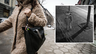 E.Ože&scaron;kienės gatvėje užpulta moteris