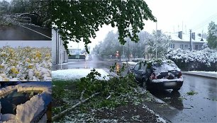 Sunku patikėti, kad Kėdainiai į gausią stichinių reiškinių zoną nepatenka, kai gegužės 12-ąją laukuose čia buvo balta, rapsų ir kitų augalų laukai pasidengė sniegu, o medžiai virste virto.