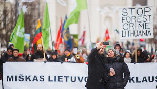Eitynės prie&scaron; plynus kirtimus