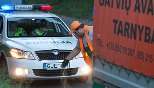 Naujojoje Vilnioje automobilis patrenkė stirną