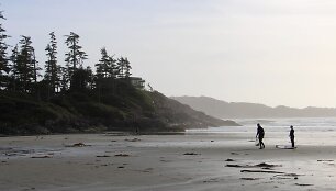 Plaukiojimas banglente lapkritį, Tofino