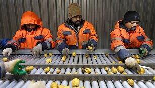 Migrantai Rusijoje