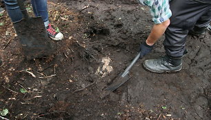 Archeologai Medvėgalio papėdėje aptiko kūlgrindą