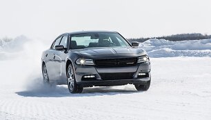 Automobilis i&scaron; JAV