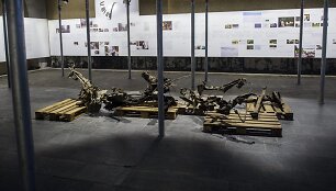 Breiviko žudynių paroda