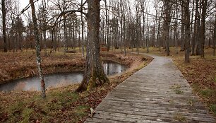 Kiemelių rekreacinis takas