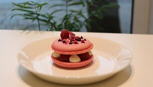 Desertinė &bdquo;Atostogos&ldquo;