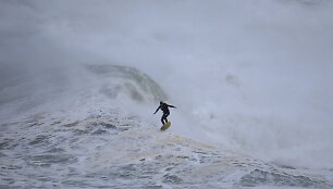 Banglentininkas Portugalijoje 