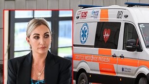 Gerda Žemaitė, greitoji