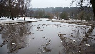 Sniegą Vilniuje keičia balos