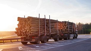Lietuva artėja prie medinės statybos