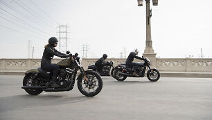 &bdquo;Harley-Davidson Street Rod 2017&ldquo;
