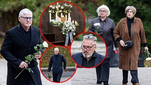Atsisveikinimas su Henriku Vaitiekūnu