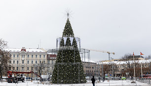 Statoma šių metų Vilniaus Kalėdų eglė