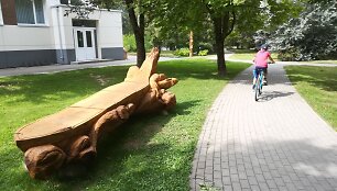 Joni&scaron;kio parkas