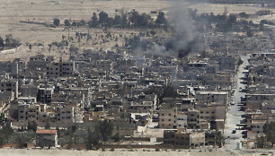 Palmyra