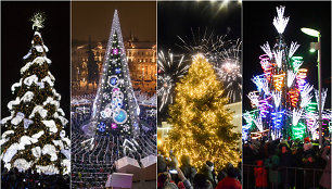 Kauno, Vilniaus, Klaipėdos ir Panevėžio eglės