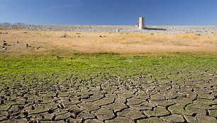 Klimato kaita nieko gero nežada