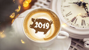 2019-ieji &ndash; Kiaulės metai