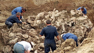 Srebrenicos žudynių aukų kapavietės ekshumacija (1996 m.)