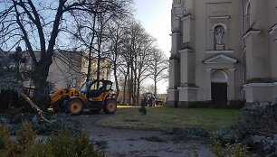 Joni&scaron;kio bažnyčioje pjaunami medžiai