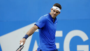 Juanas Martinas Del Potro