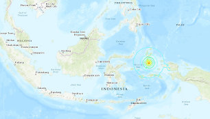 Indoneziją supurtė žemės drebėjimas