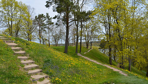 Sudargo piliakalniai (Šakių r.)