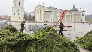 Statoma Kalėdų eglė prie katedros