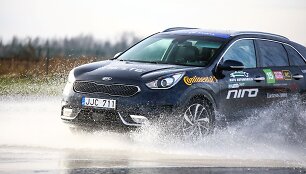 &bdquo;Kia Niro&ldquo;