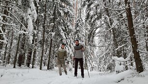 Lygumų slidinėjimas