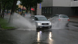 Liūtis &Scaron;iauliuose