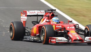 Fernando Alonso