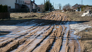 Basiukų gatvė Skaidiškėse