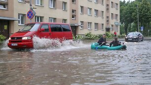 Liūtis Jurbarke