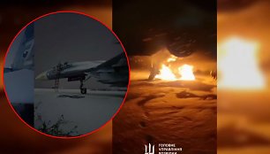 Rusijoje sunaikintas naikintuvas Su-30