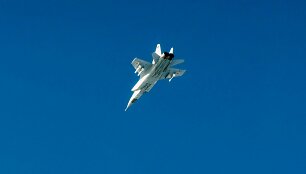 Rusijos naikintuvas MiG-31 įskrido į Estiją