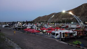 Bivuakas