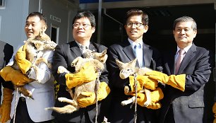 Woo Sukas Hwangas (kairėje) su komanda laiko klonuotus kojotus