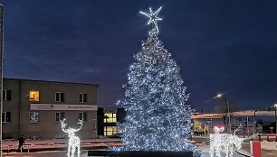 Raseinių kalėdinės eglės įžiebimo akimirka