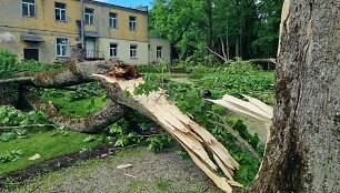 Viesulo nusiaubtas Antanavo dvaro parkas