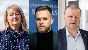 Vilija Blinkevičiūtė, Gabrielius Landsbergis, Saulius Skvernelis