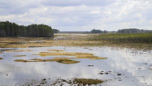 Čepkelių valstybiniame gamtiniame rezervate