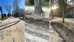 Vykdant J.Mateikos g. Kaune remonto darbus, manoma, buvo pažeisti medžiai
