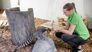 Vilniaus zoologijos sodas