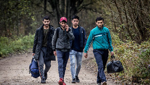 Migrantai, nelegaliai patekę į Lietuvą, eina per Musteikos kaimą (Varėnos r.) 