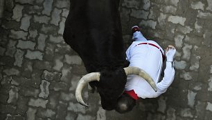 Pamplonos bulių lenktynės