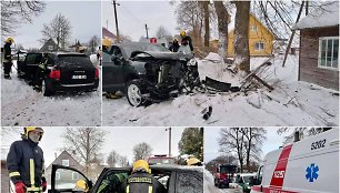 Vepriuose – „Porsche Cayenne“ smūgis į medį