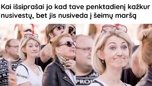 Interneto pok&scaron;tininkų memai apie prie Katedros vykusį &Scaron;eimų sąjūdžio mitingą